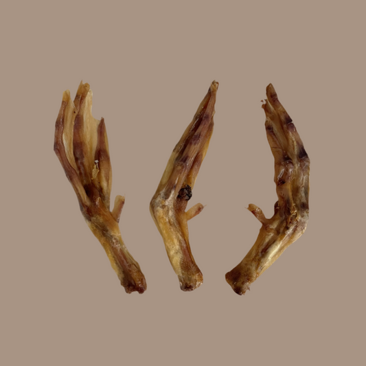 Duck Feet