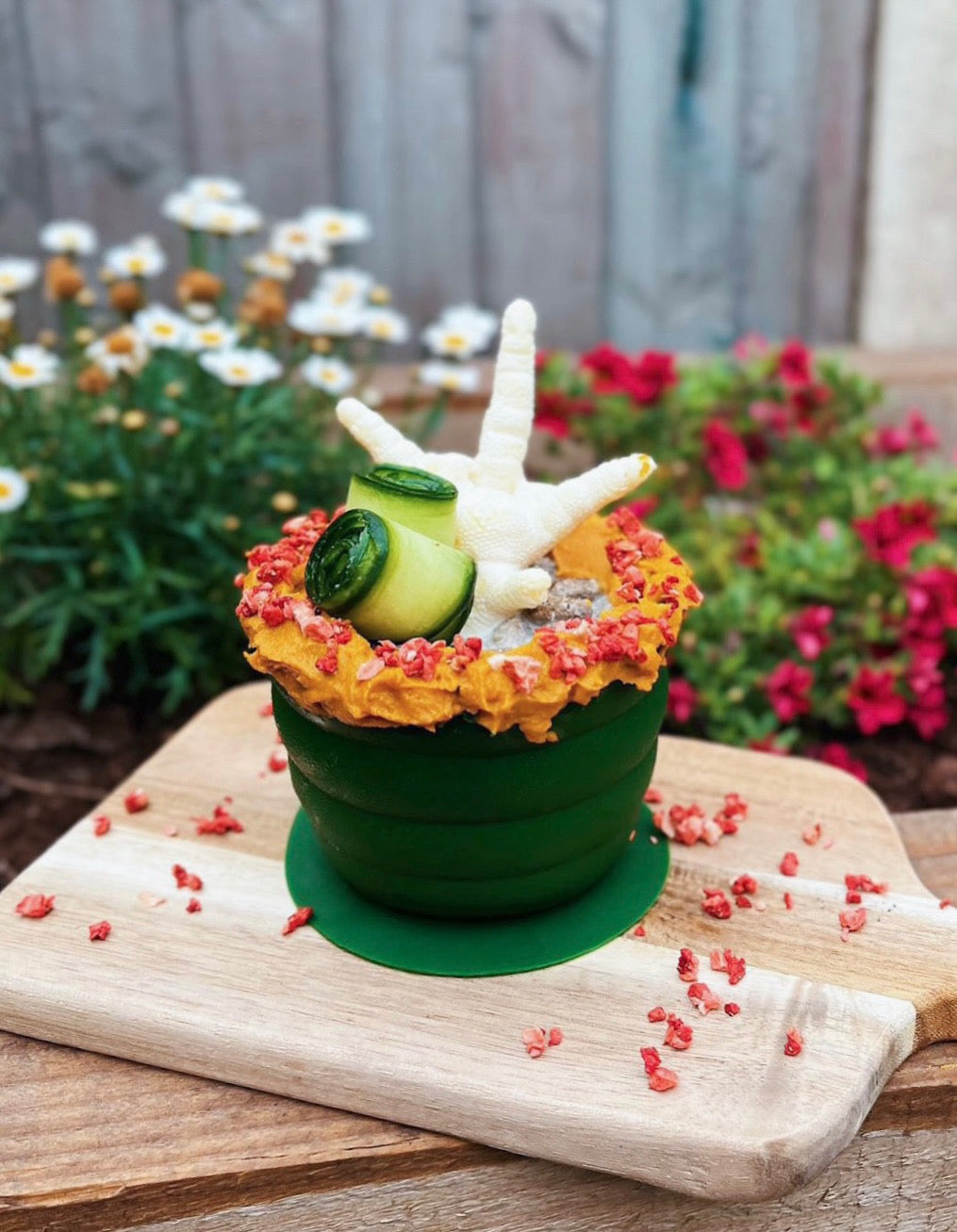 Honeycomb Enrichment Pots