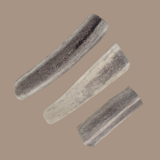 Split Antlers
