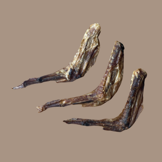 Duck Wings