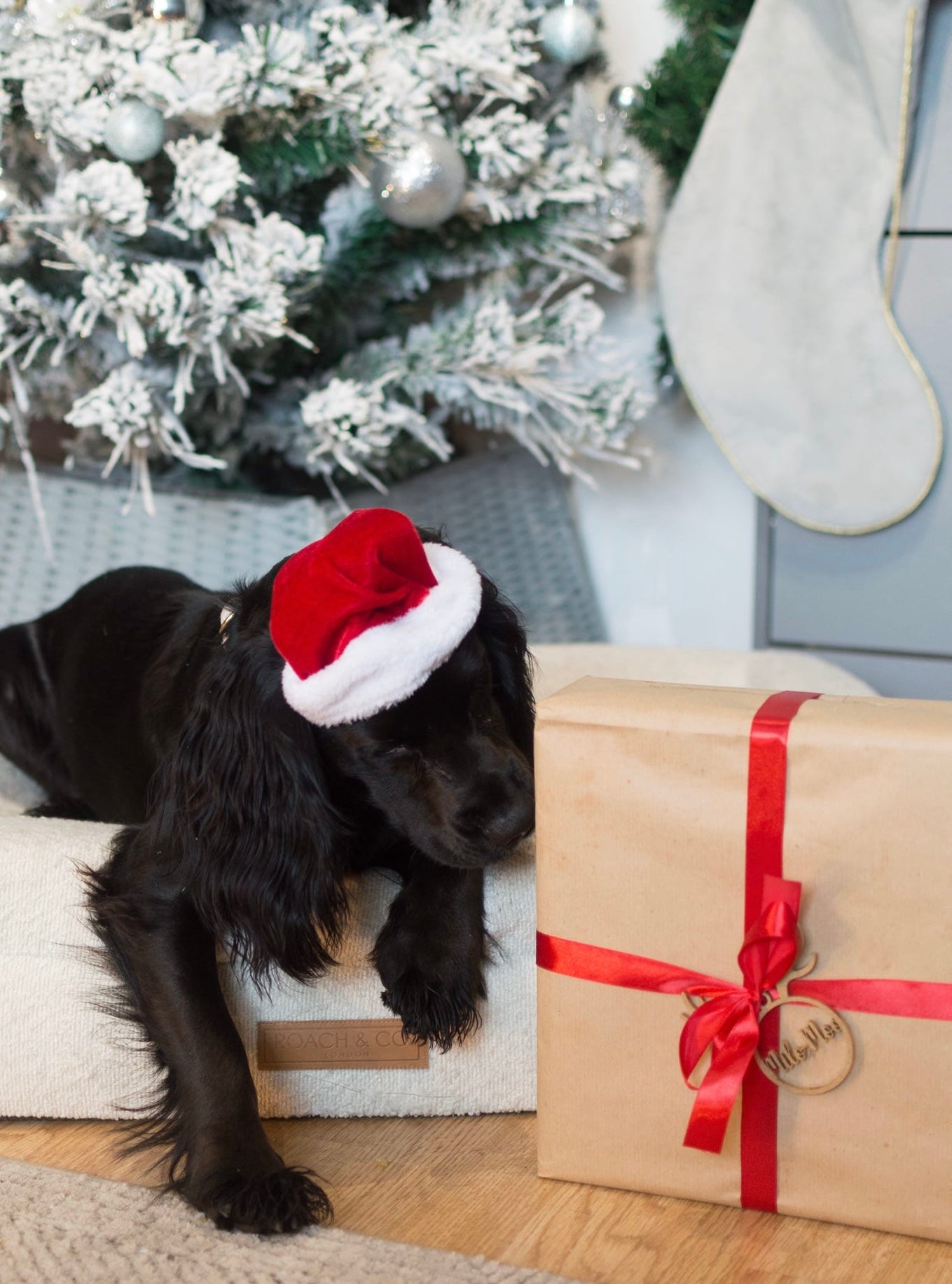 Advent Calendar | Pre-Order