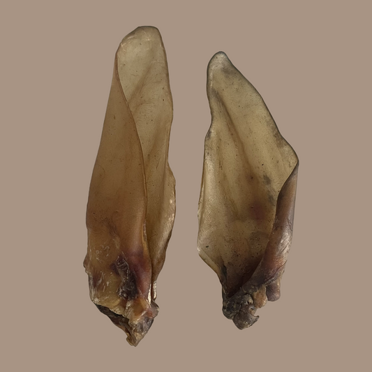 Buffalo Ears