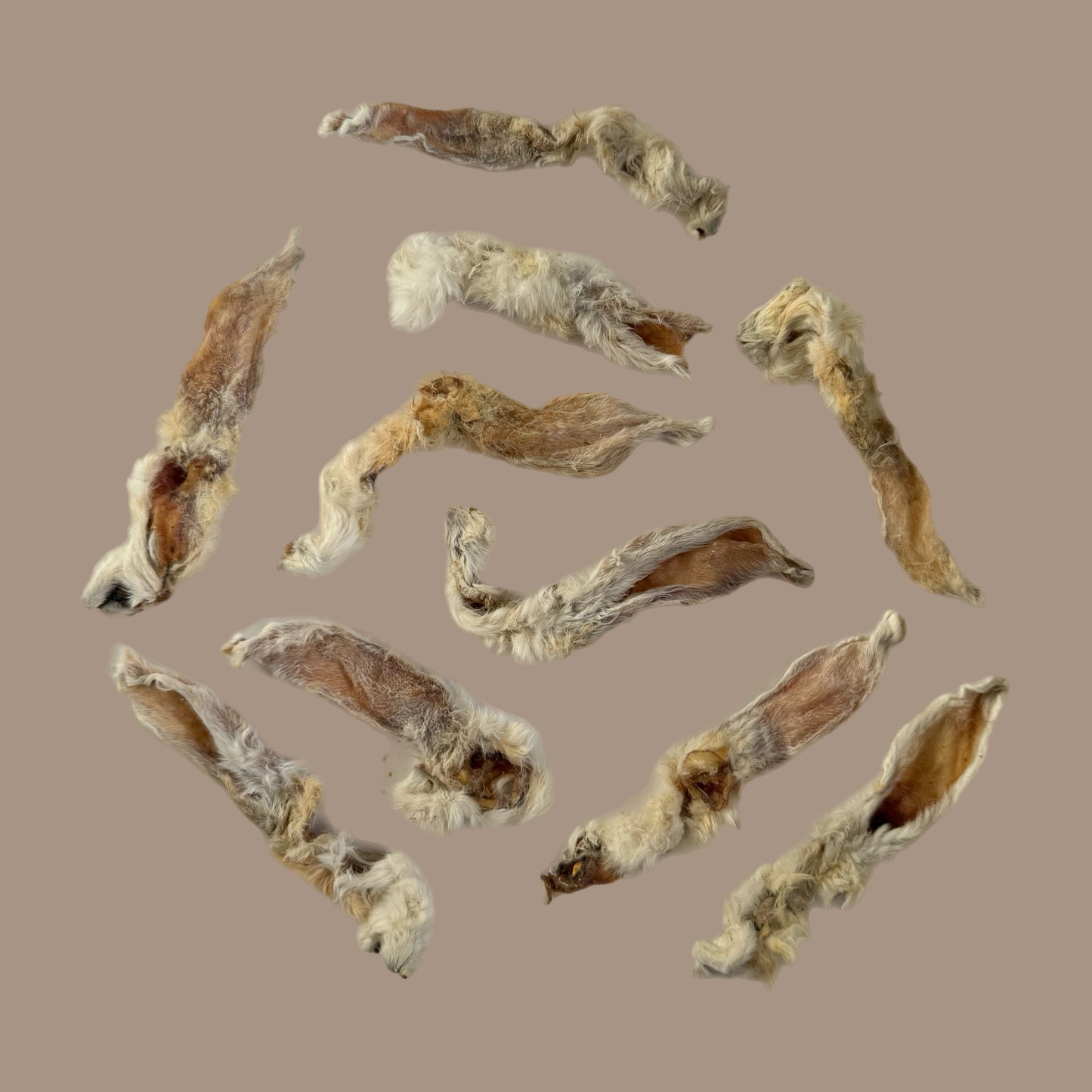 Furry Rabbits Ears | 10