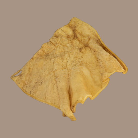 Buffalo Skin Plates