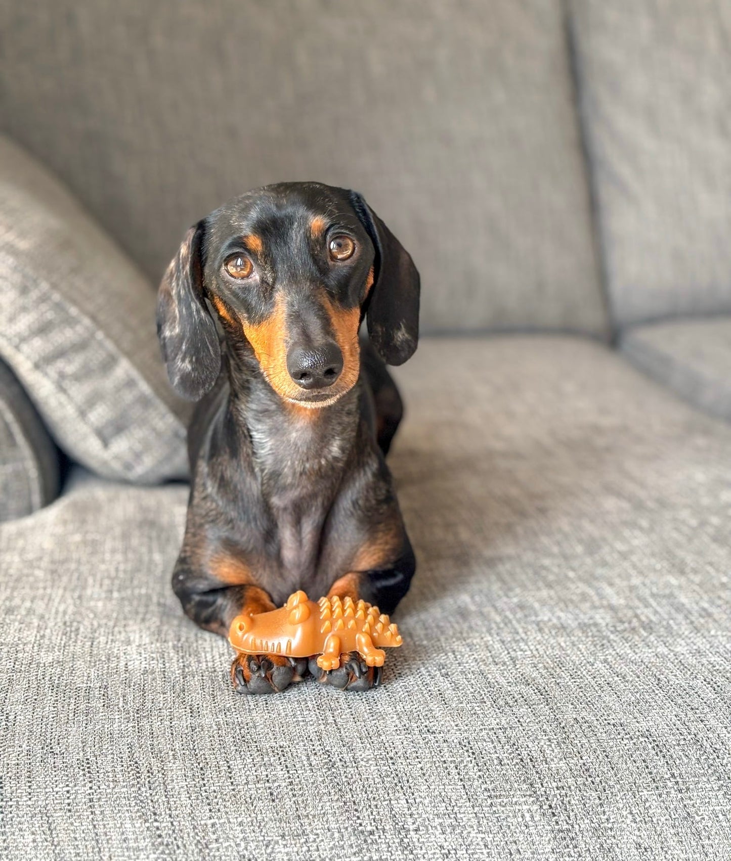 Peanut Butter Crocodile Bites