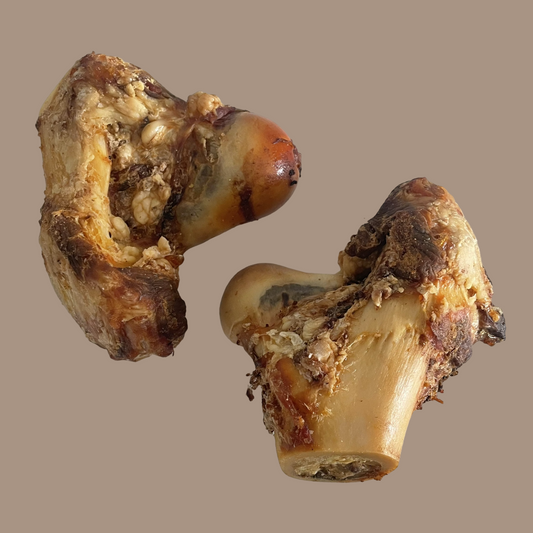 Beef Knuckle Bone | Jumbo