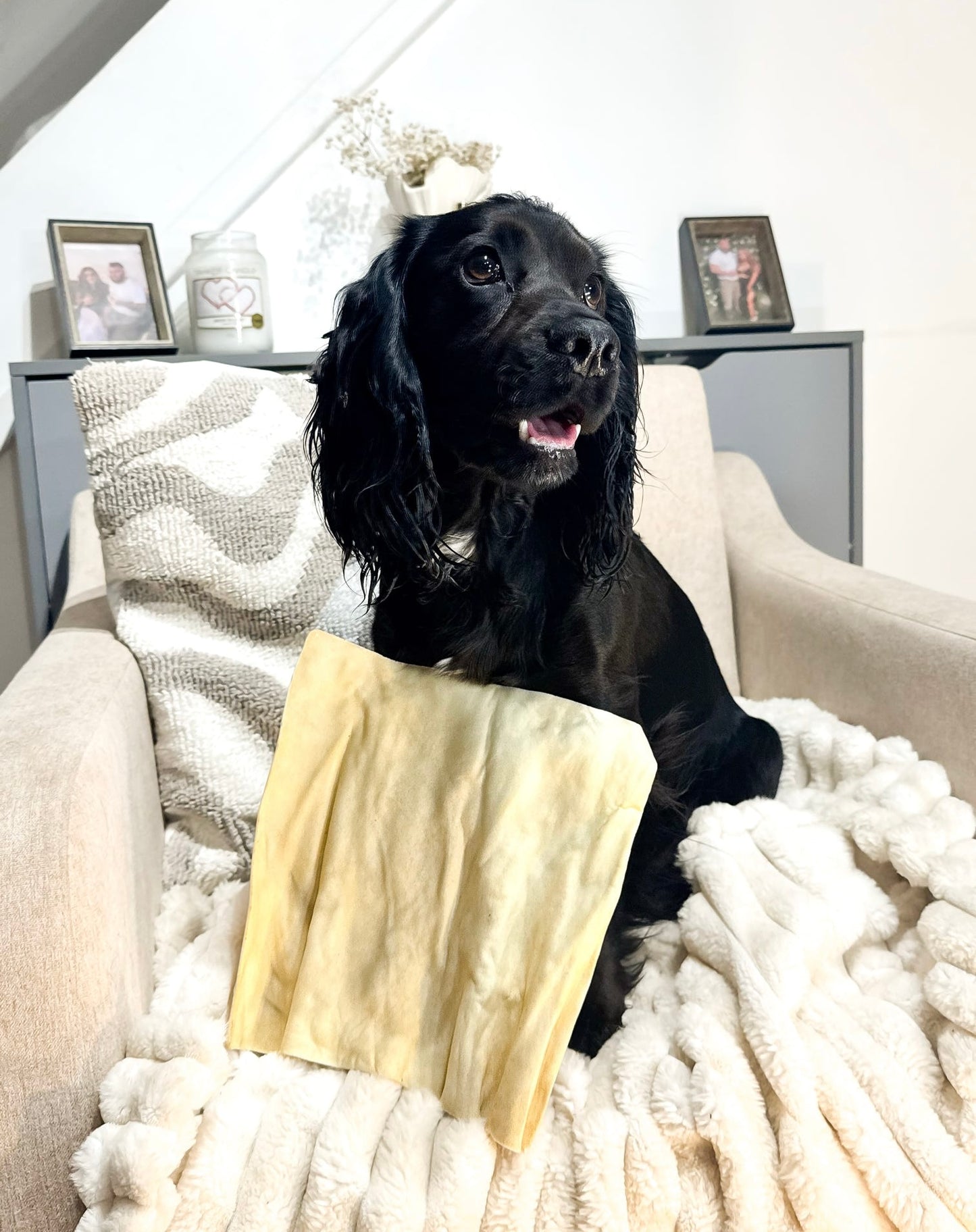 Buffalo Skin Plates