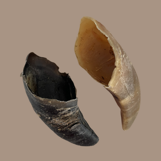 Cow Hooves