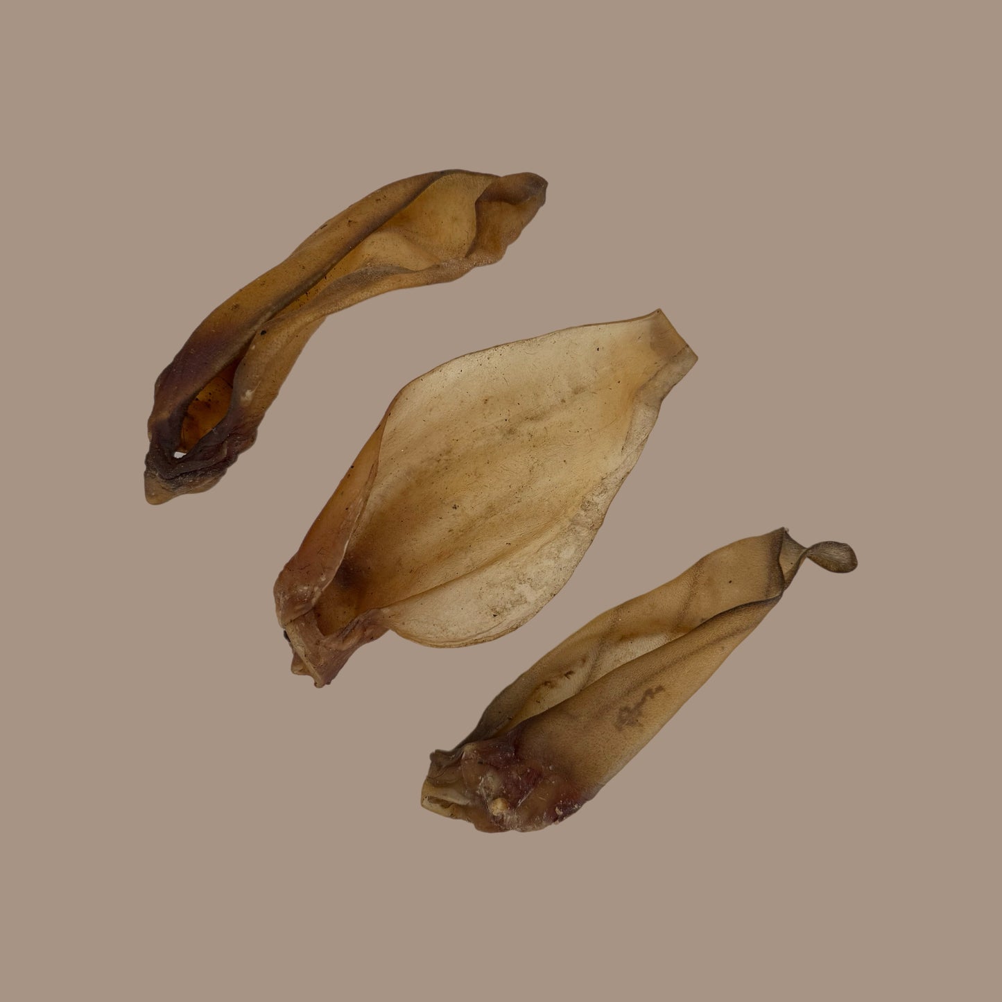 Buffalo Ears