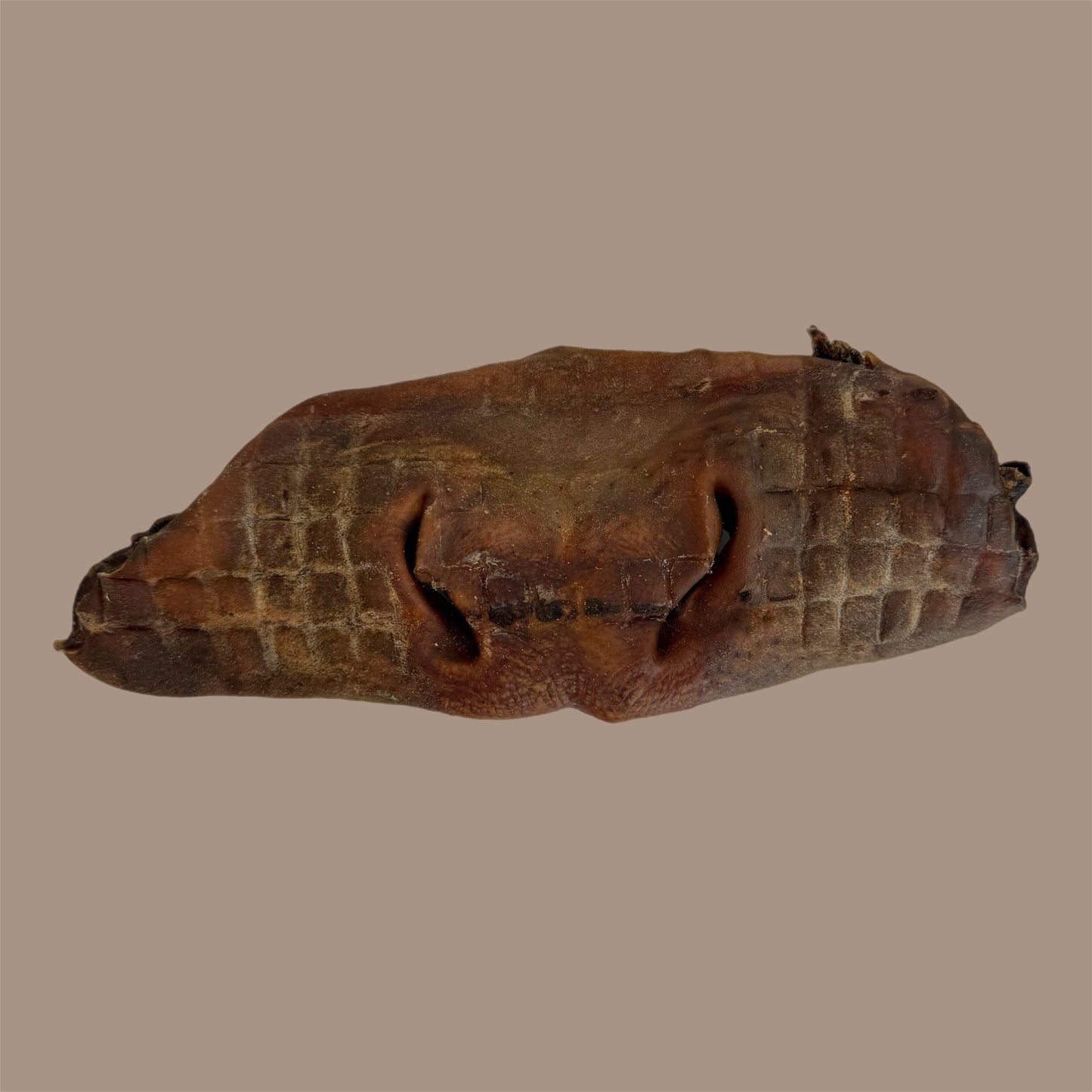 Bully Snouts | Large