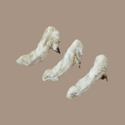 Furry Rabbit Feet