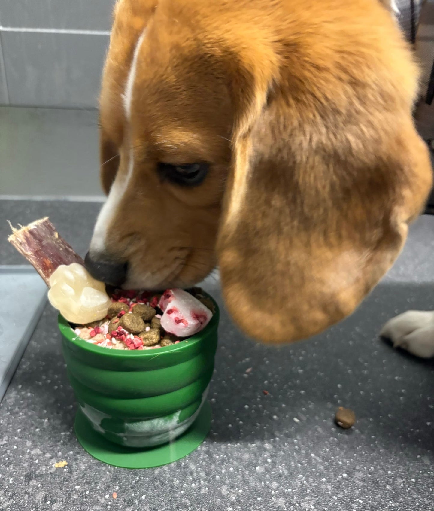 Honeycomb Enrichment Pots
