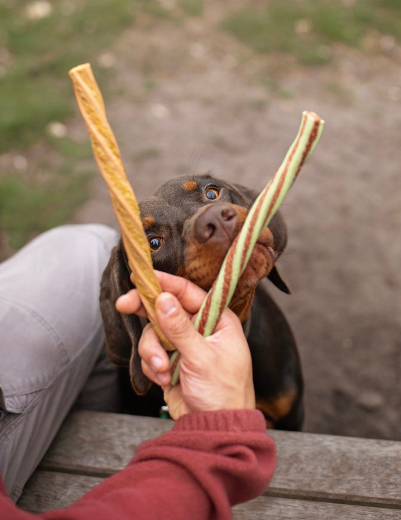 Puffed Veggie Twists