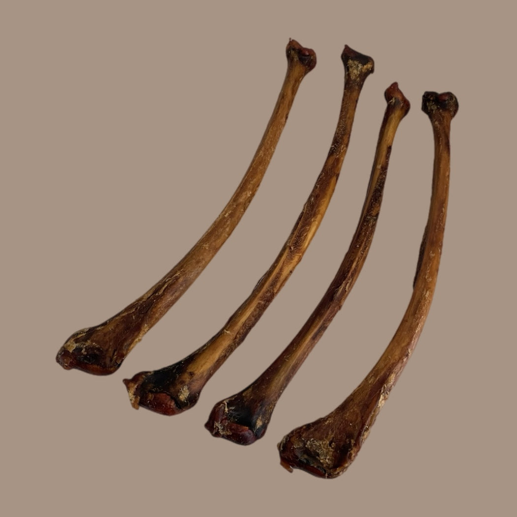 Ostrich Wing Bone
