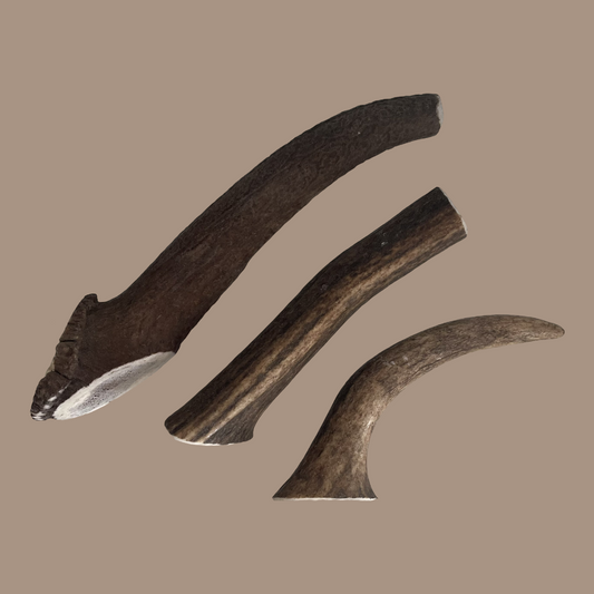 Whole Antlers