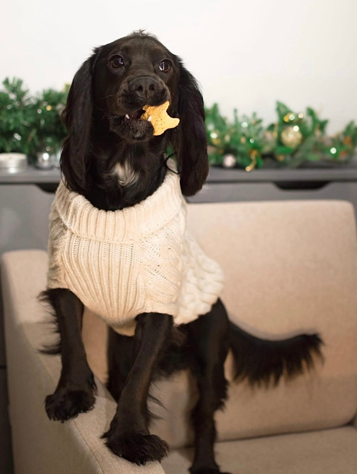 Gingerbread House Gift Box Filled With Mini Gingerbread Hoomans