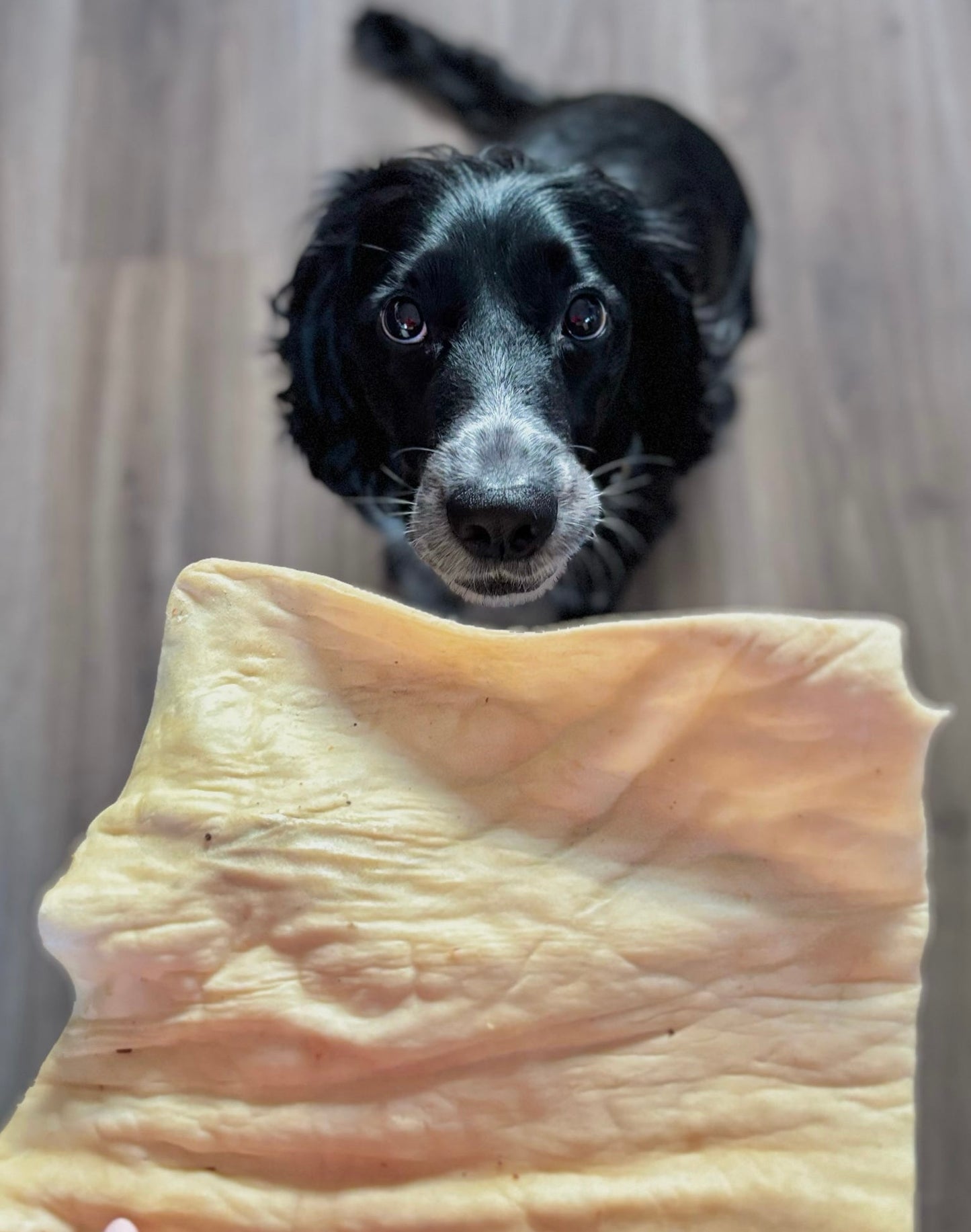 Buffalo Skin Plates