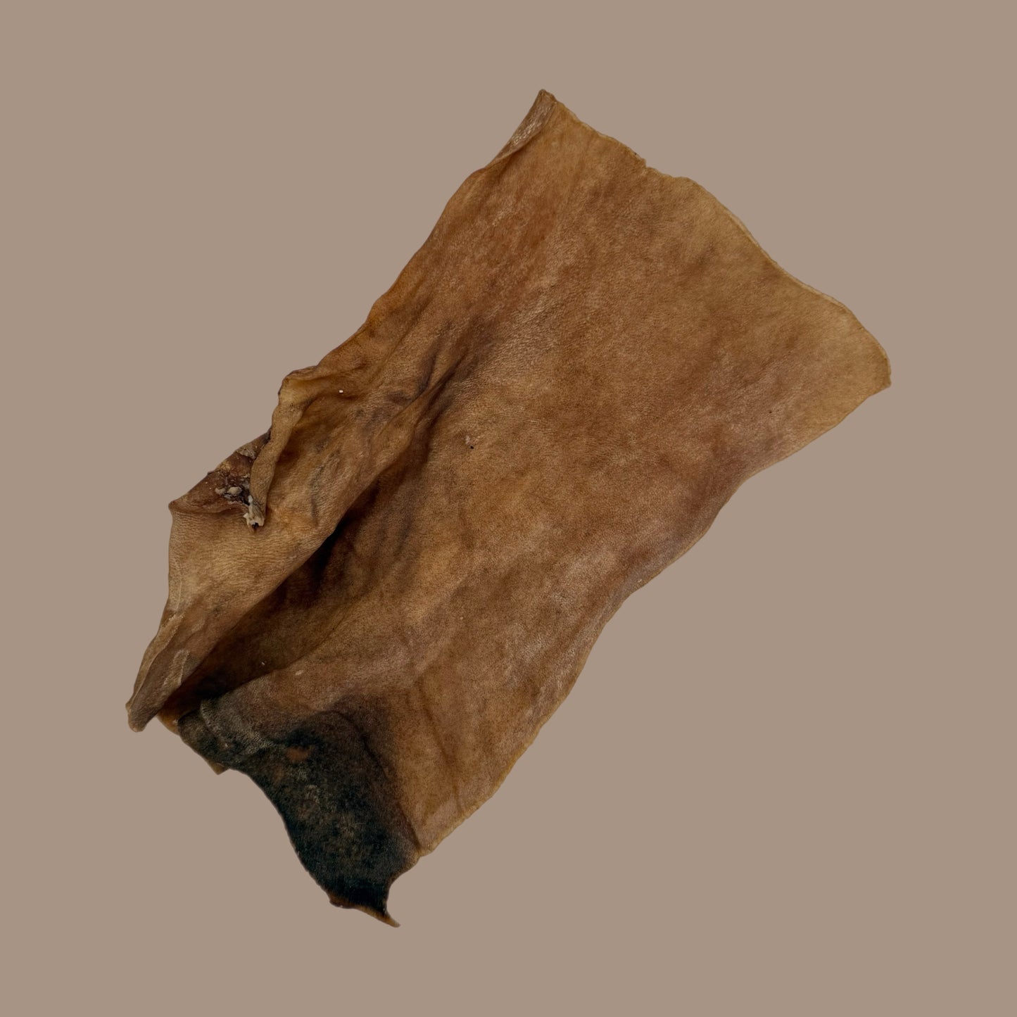 Lamb Skin Plate