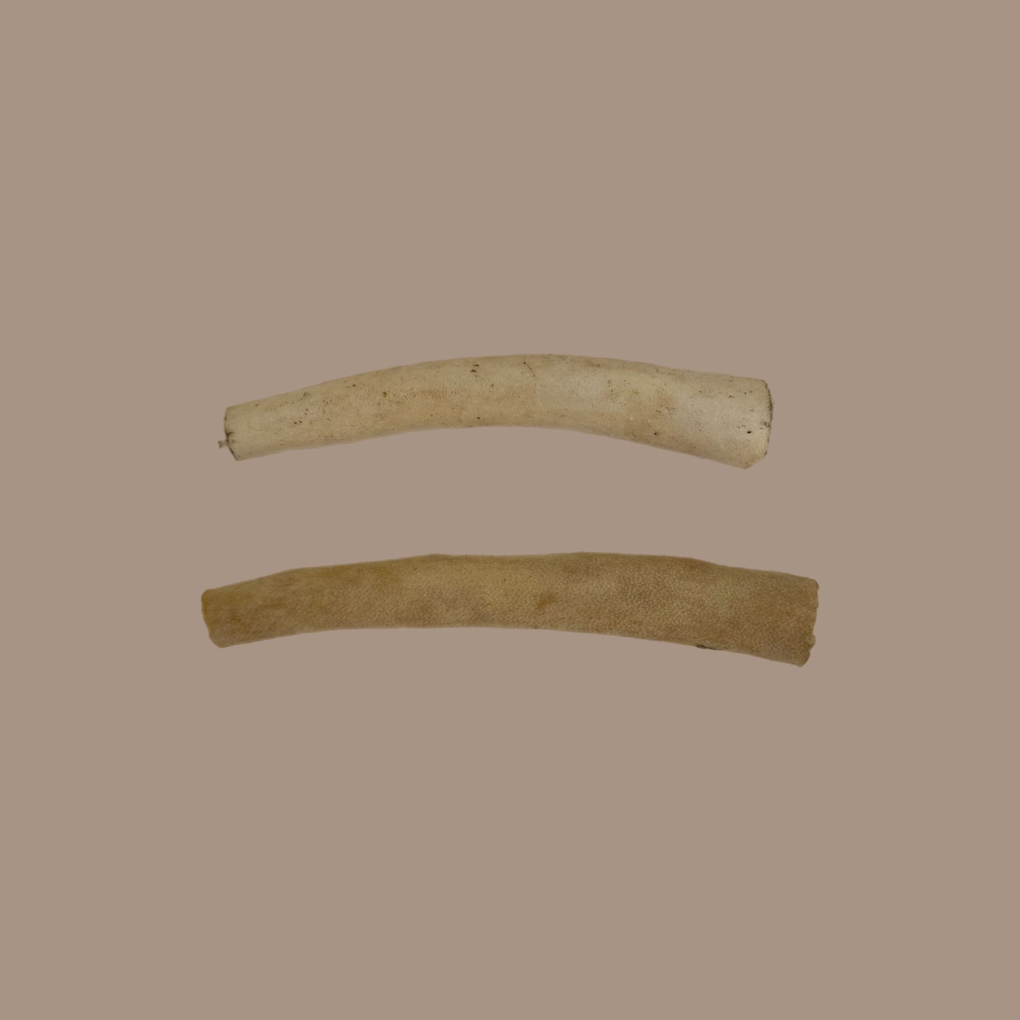 Beef Tails