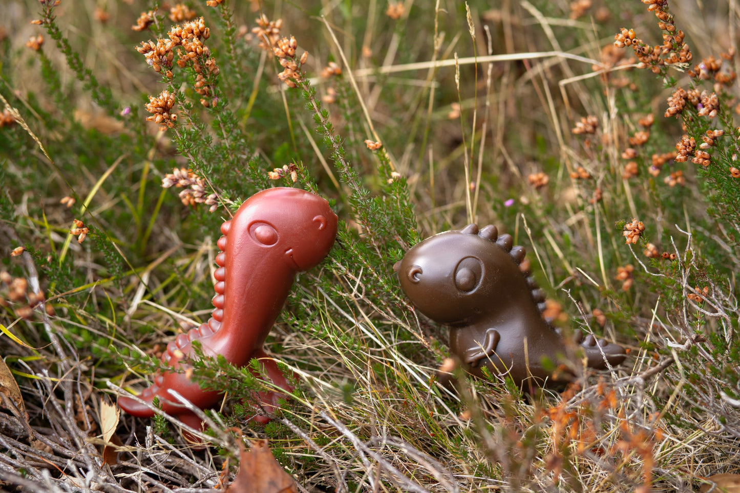Veggie Dinosaurs