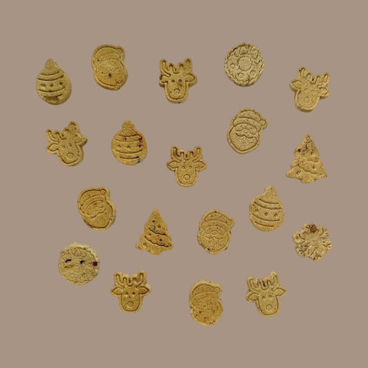 Berry Christmas Biscuits