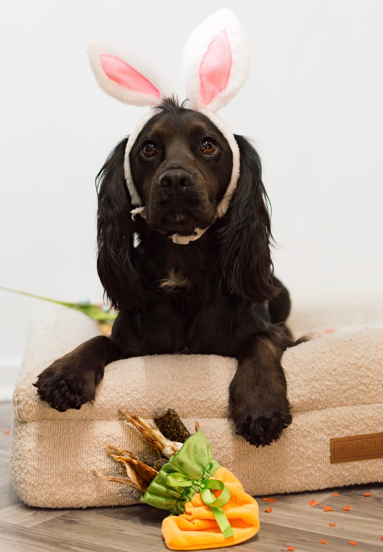 The Carrot Patch Treat Bag