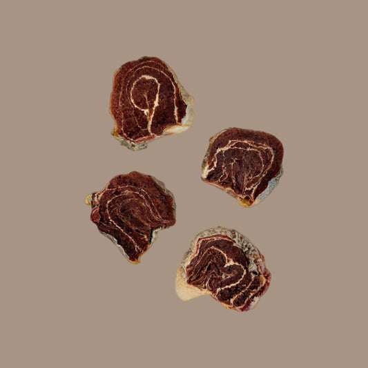 Tuna Medallions