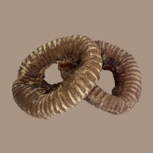 Beef Trachea Rings