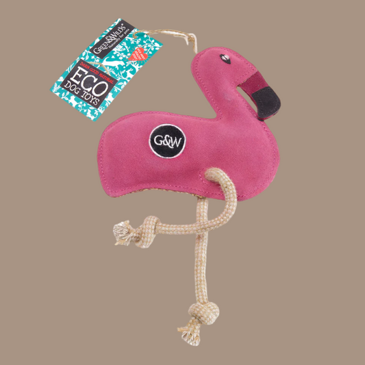 Floyd The Flamingo