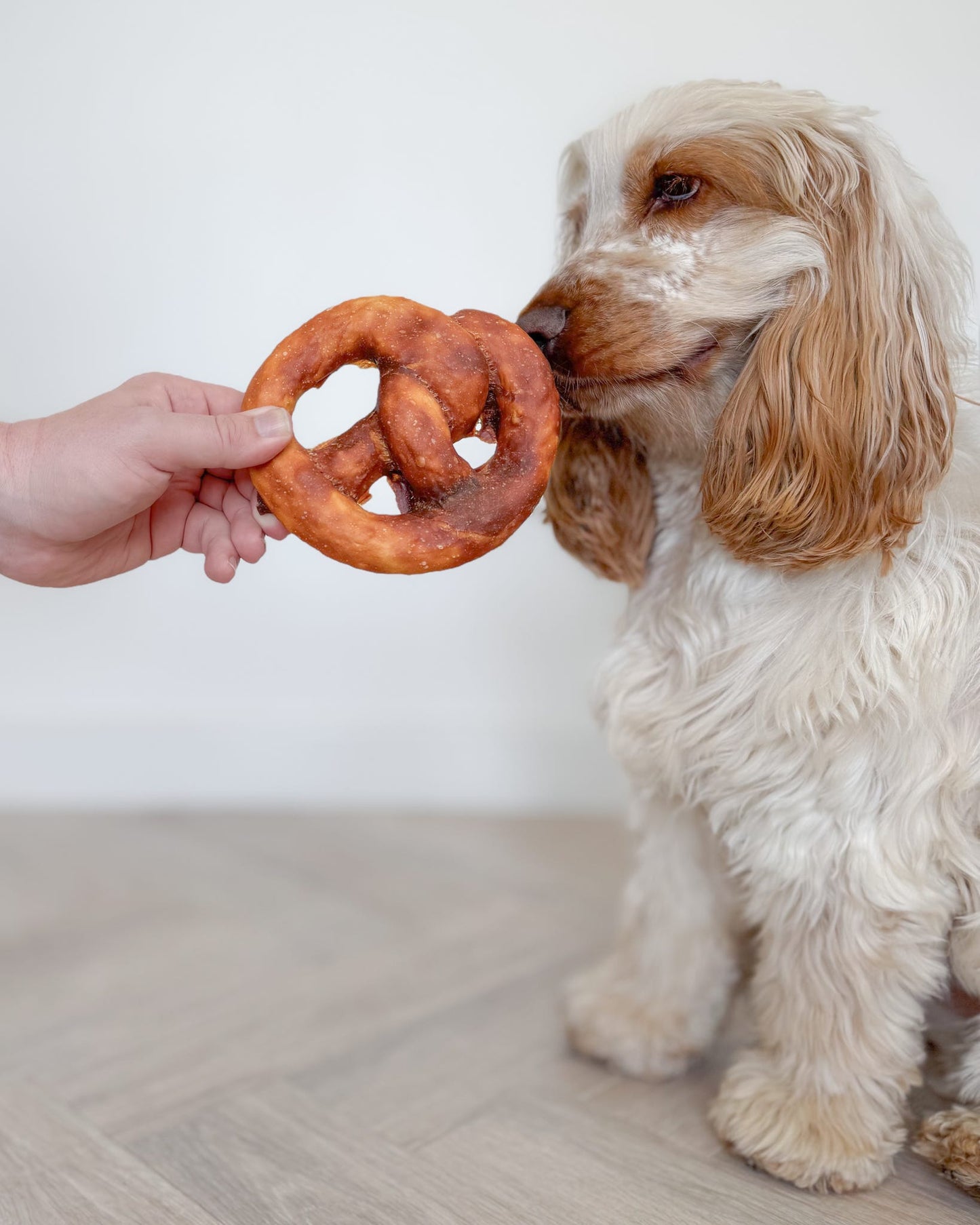 Chicken Coated Collagen Pretzel | Large