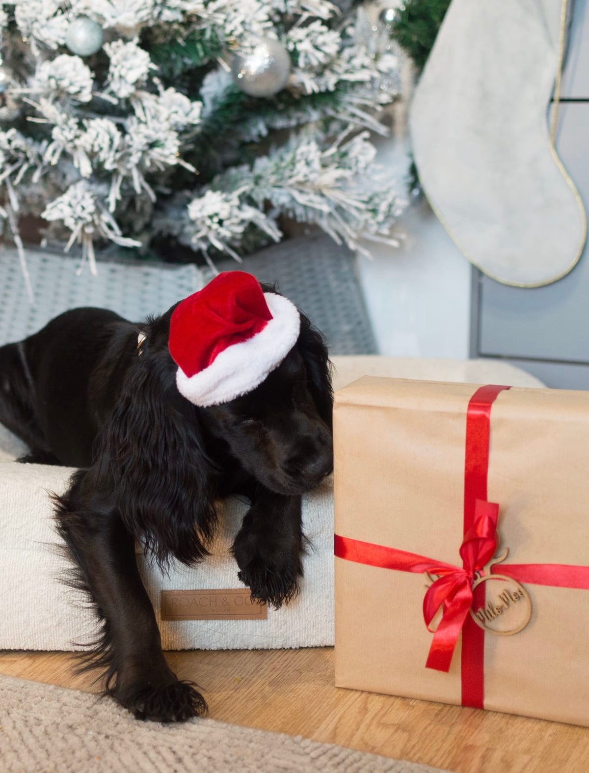 Advent Calendar | Pre-Order