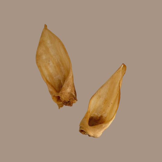 Lamb Ears