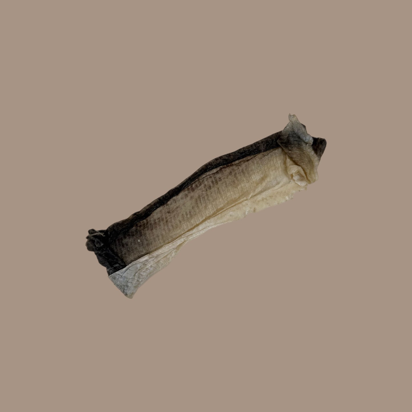 Fish Skin Flattie