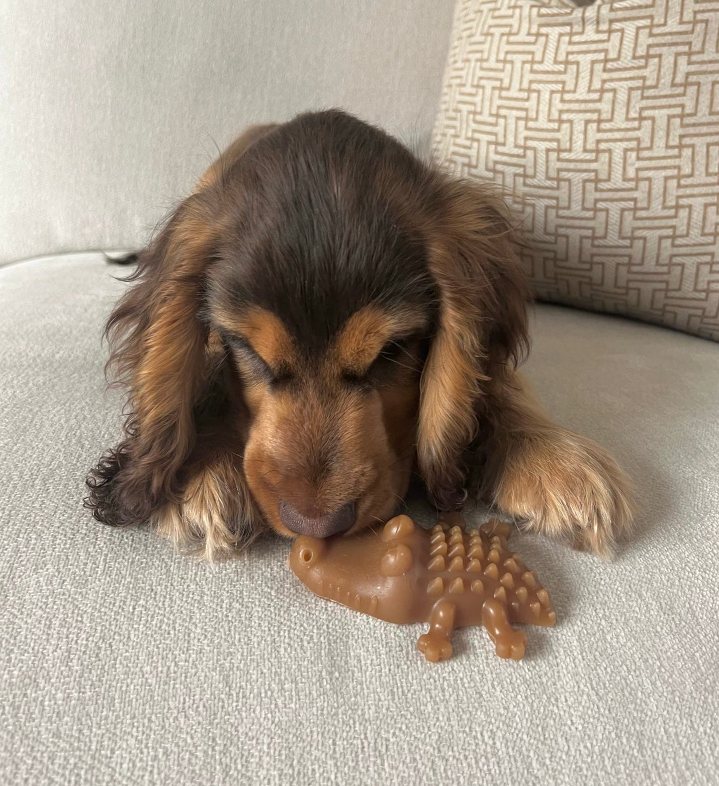 Peanut Butter Crocodile Bites