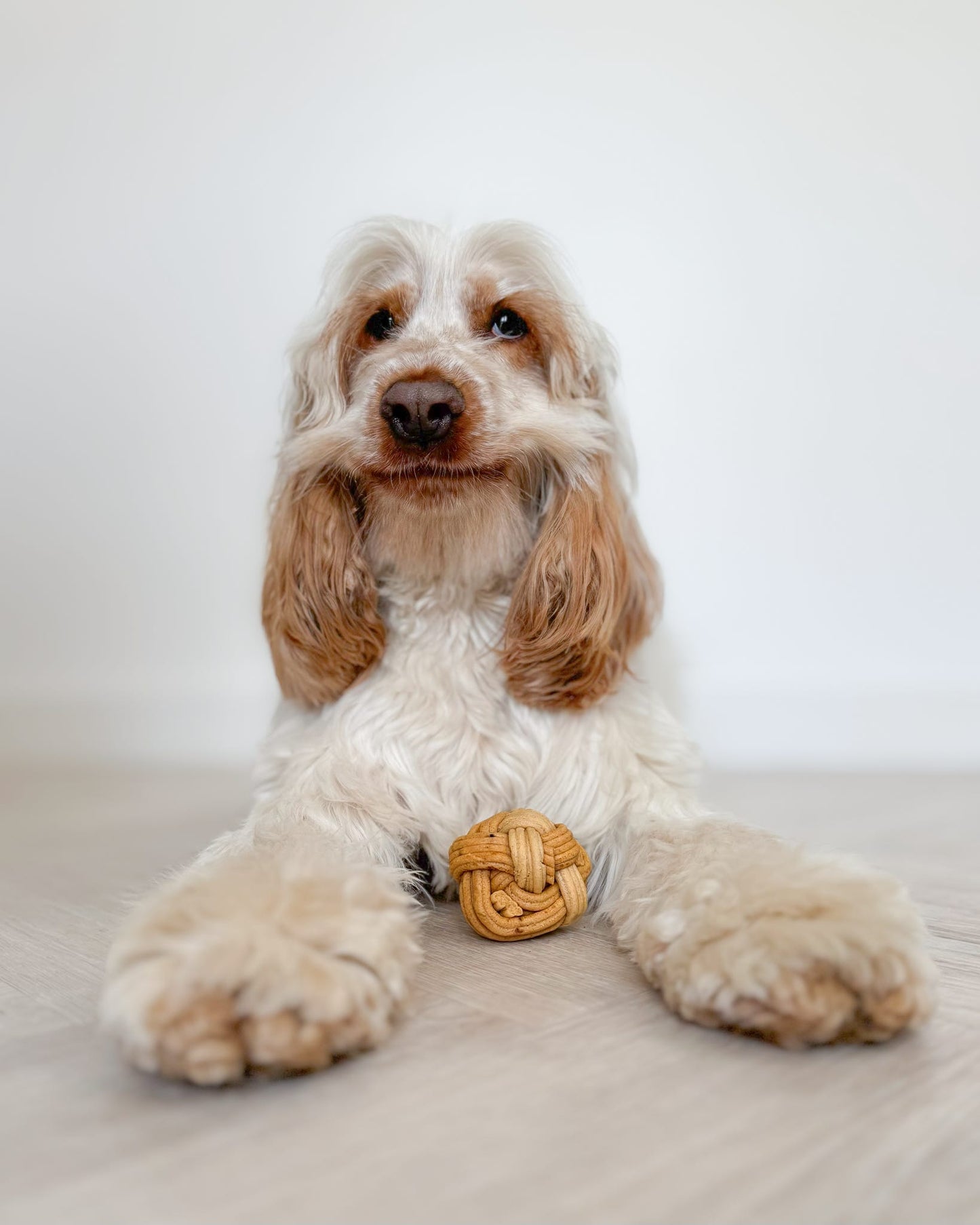 Peanut Butter Puzzle Ball