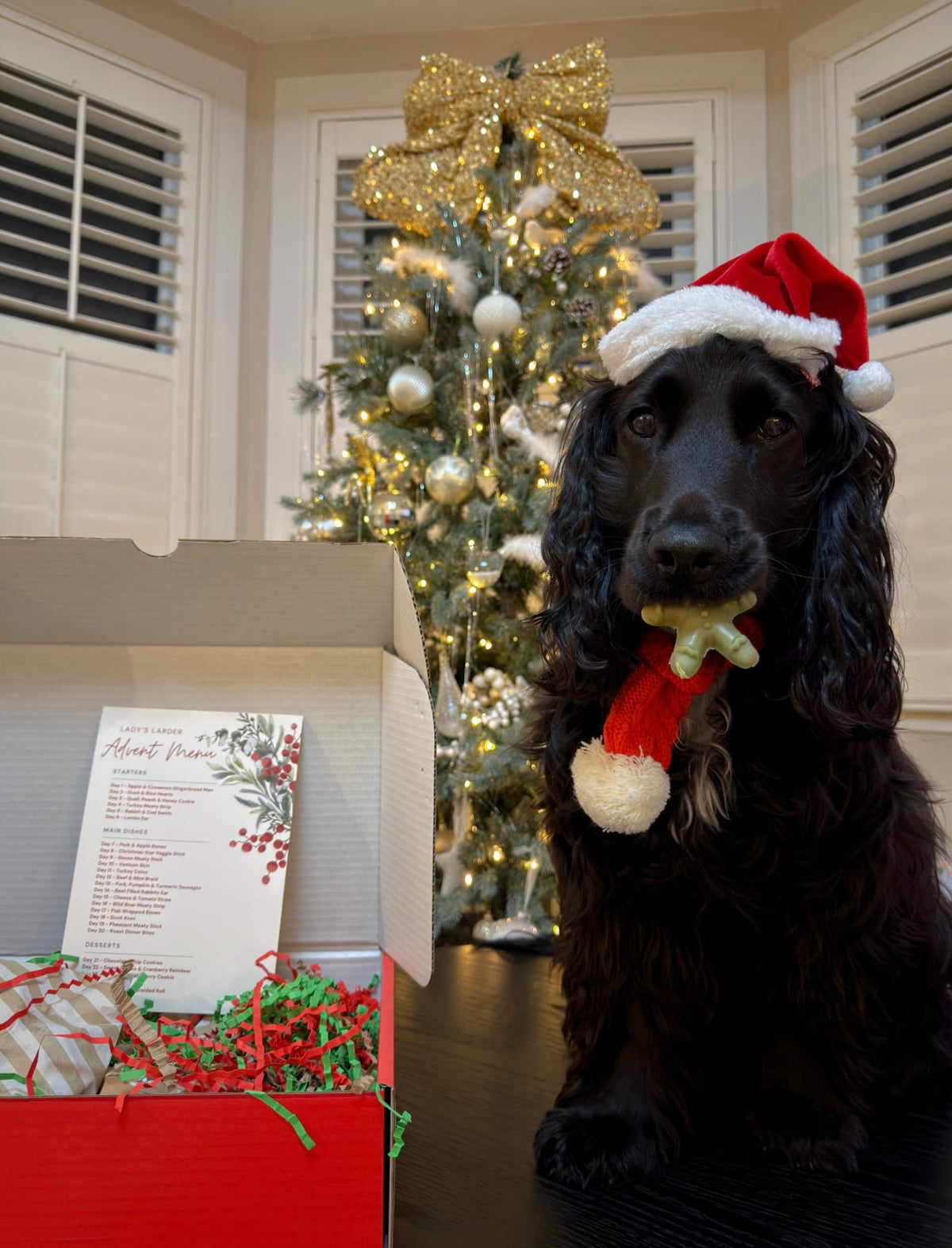 Advent Calendar | Pre-Order