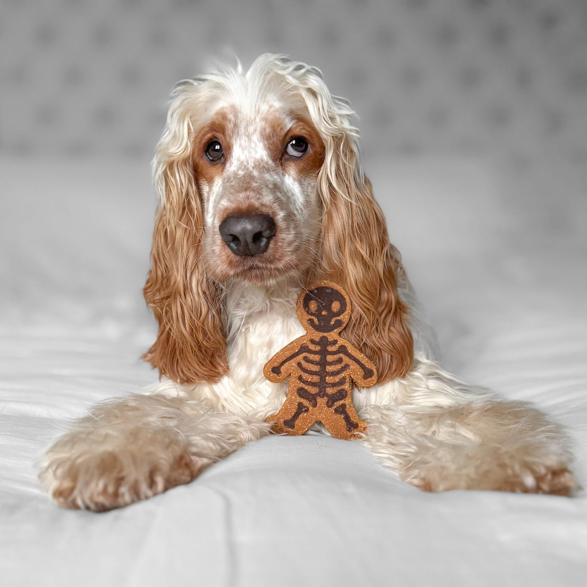 Apple, Treacle & Carob Skeleton