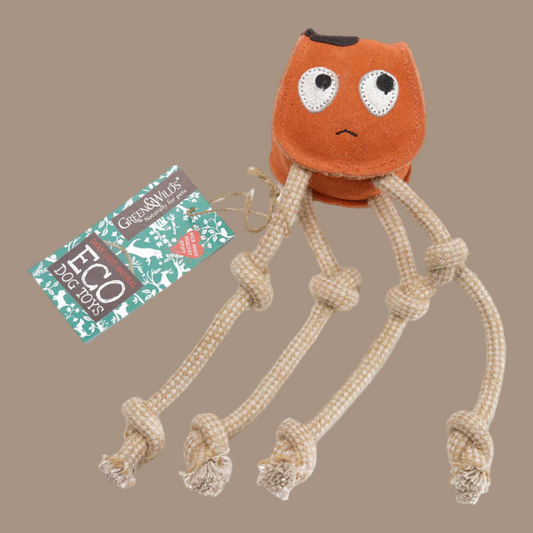 Sid The Squid