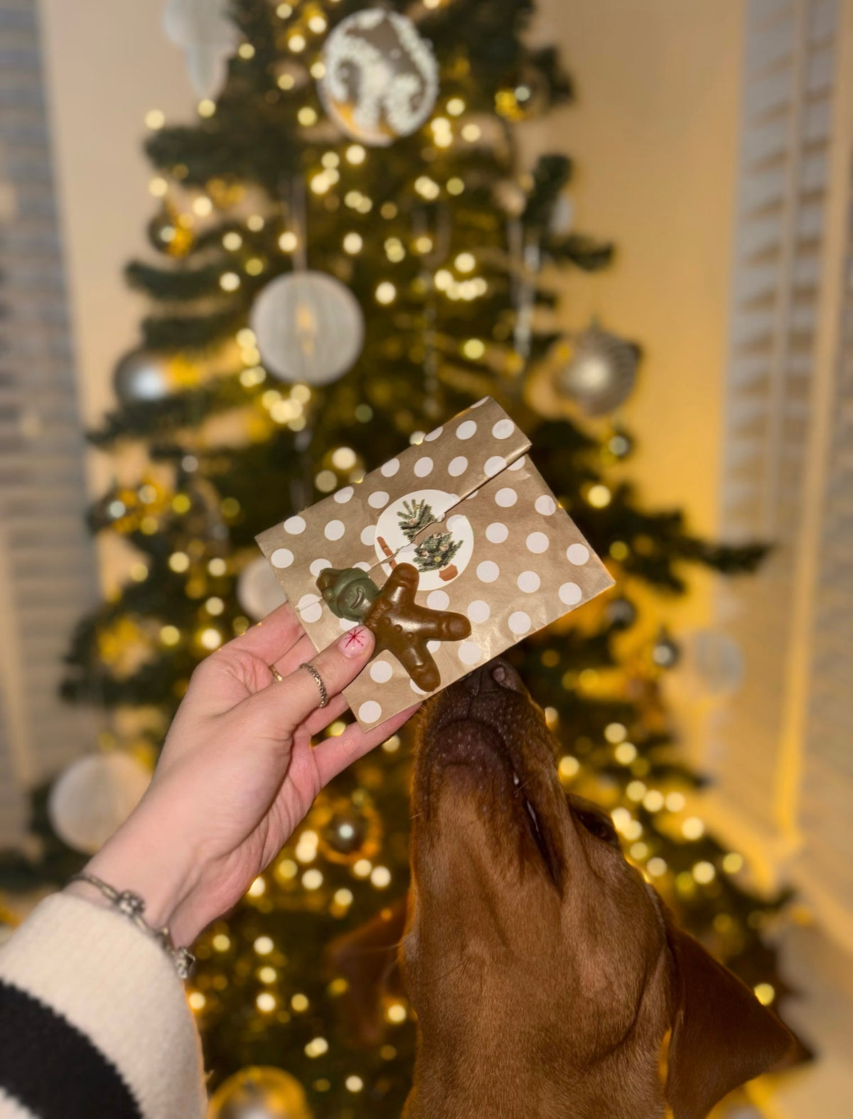 Advent Calendar | Pre-Order