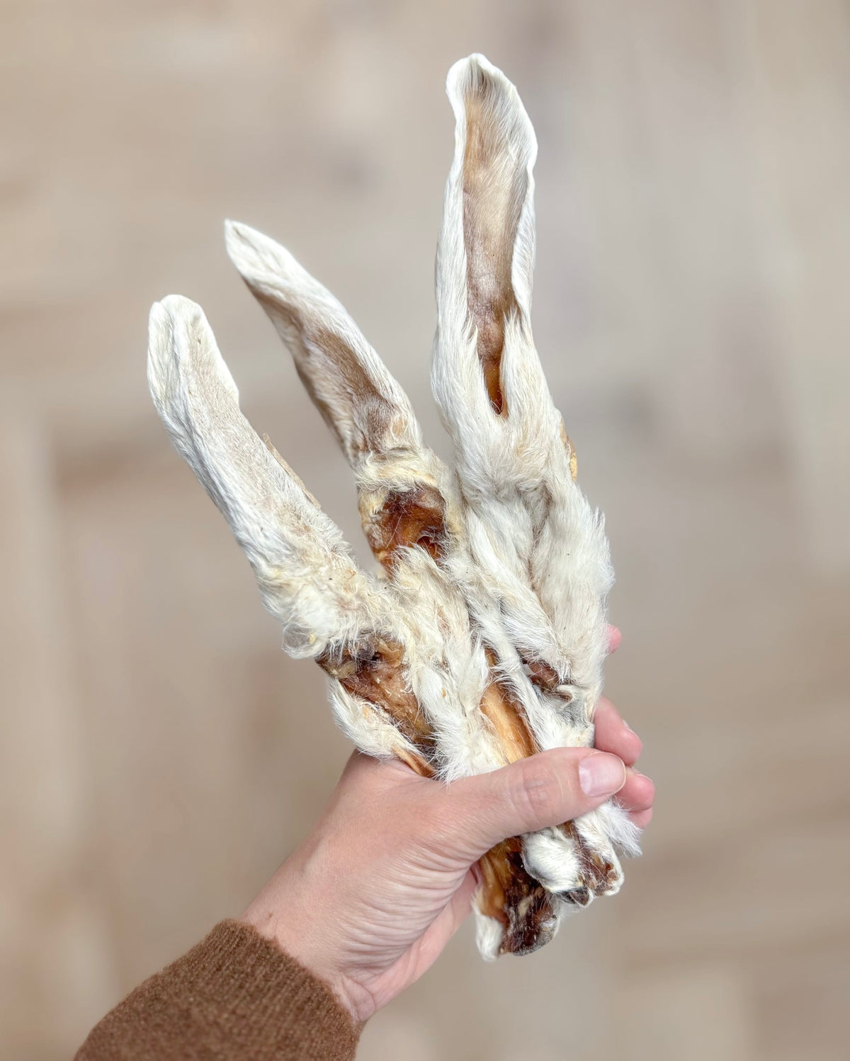 Furry Rabbit Ears
