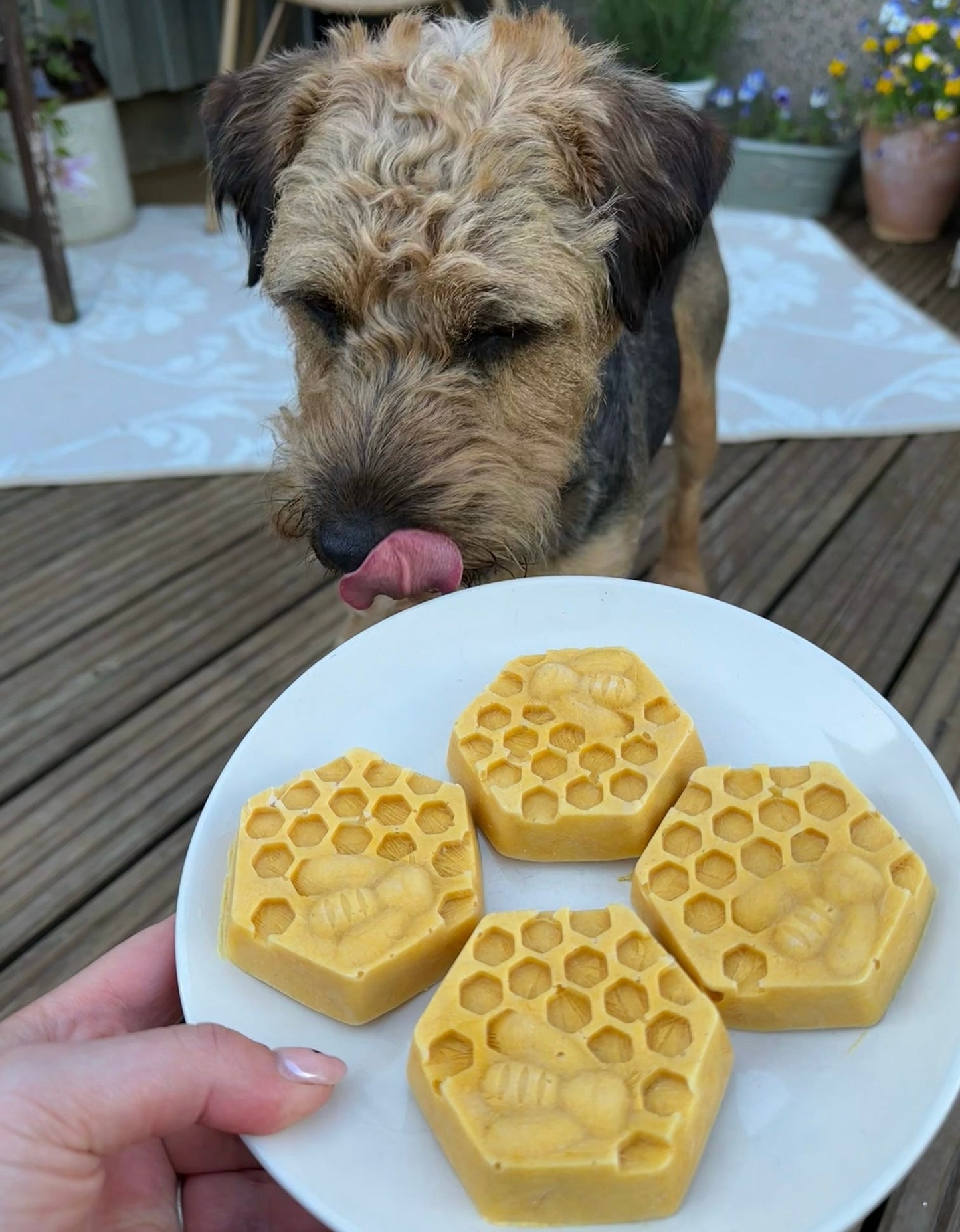 Honeycomb Moulds