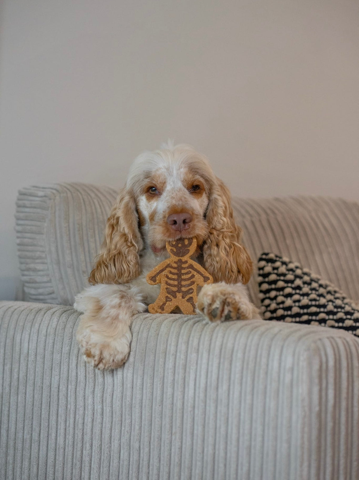 Apple, Treacle & Carob Skeleton