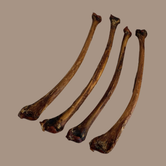 Ostrich Wing Bone
