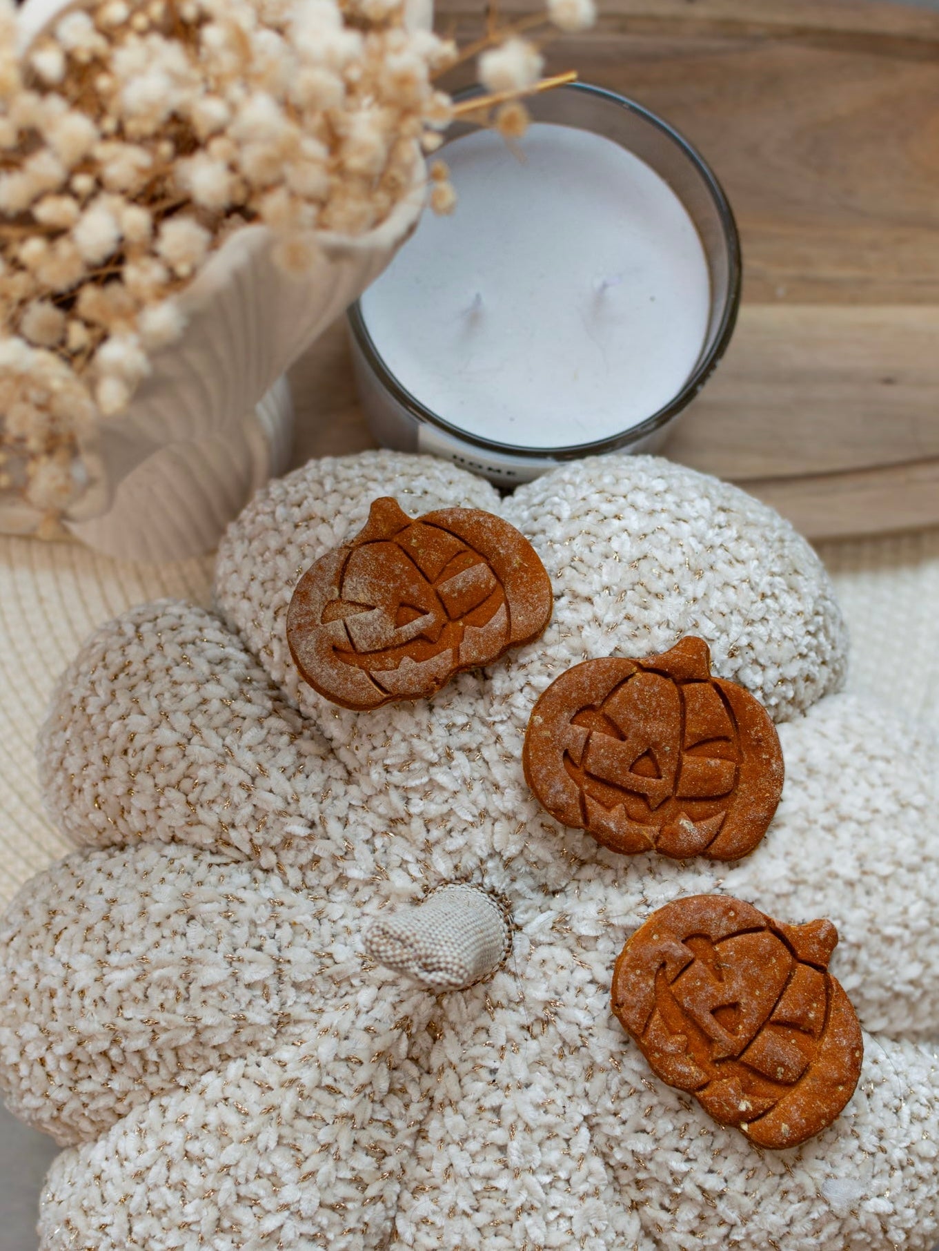 Butternut Squash Pumpkins | 3 Pack