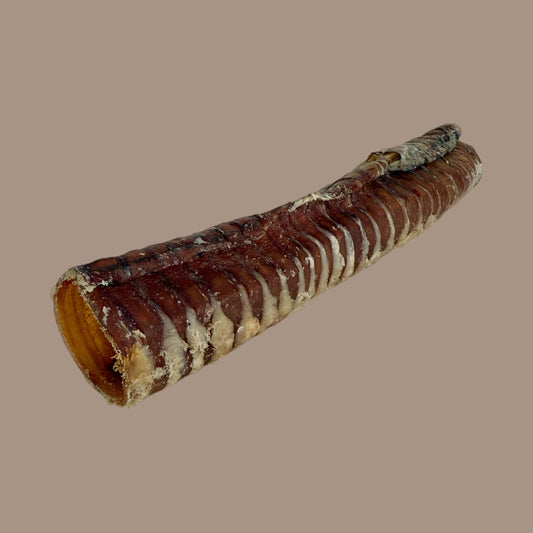 Beef Trachea