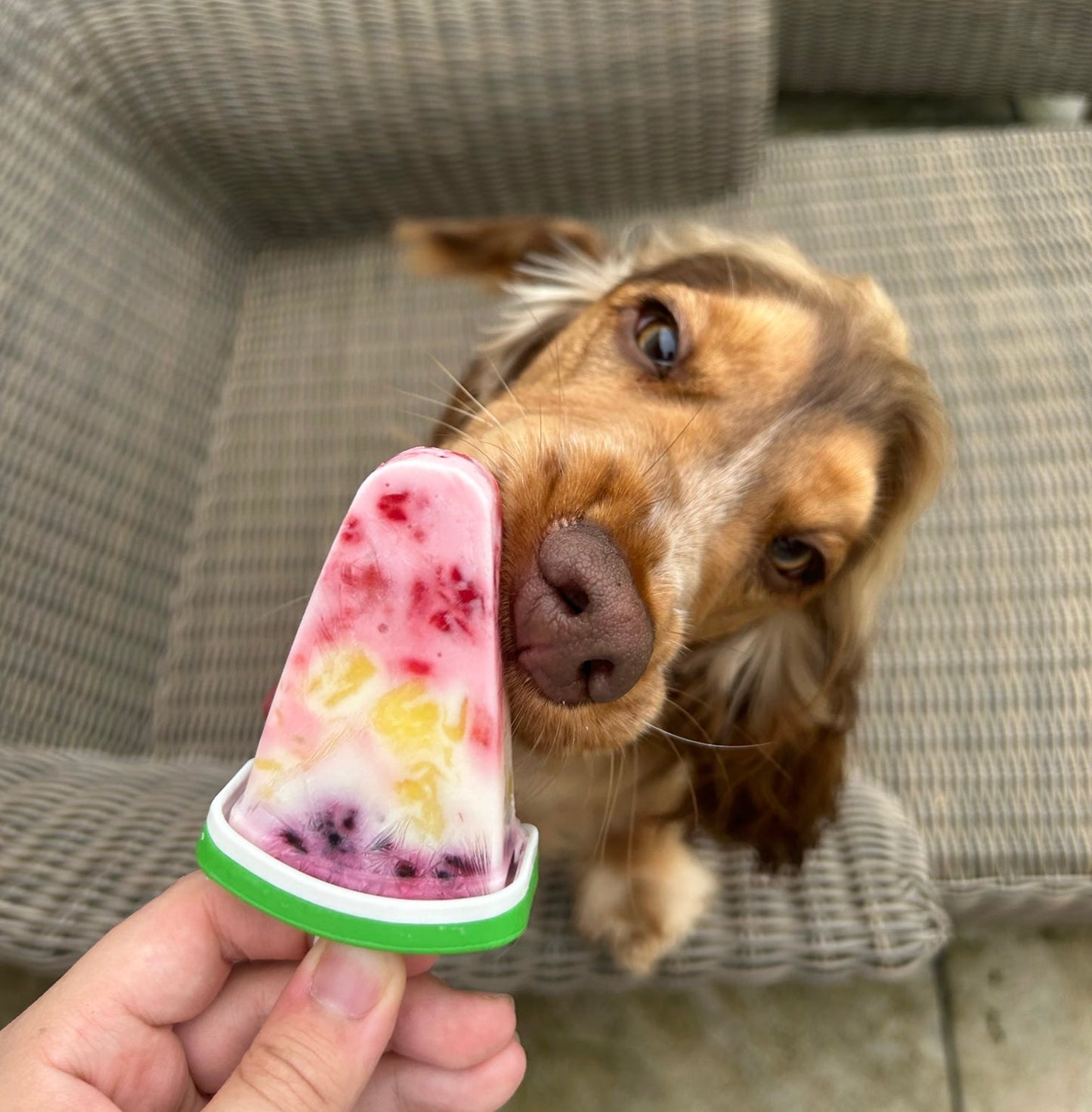 Icy Lolly Moulds