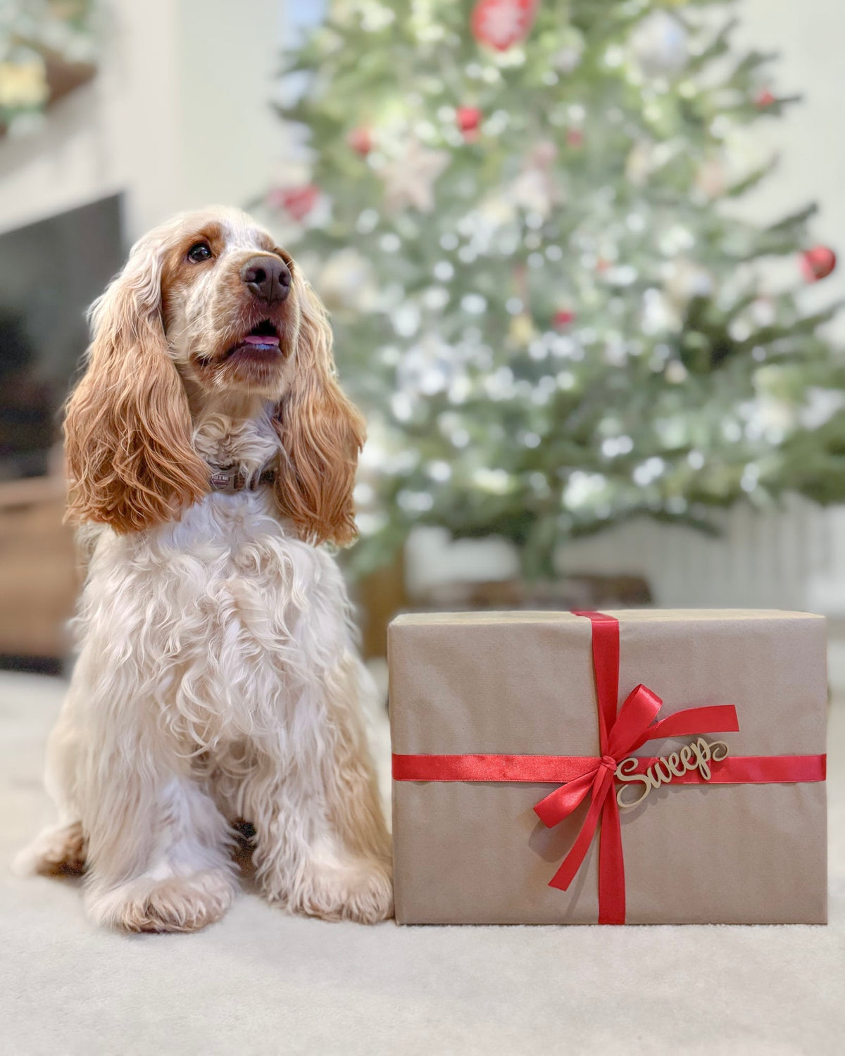 Advent Calendar | Pre-Order