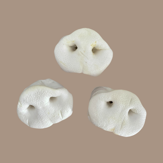Puffed Pig Snouts