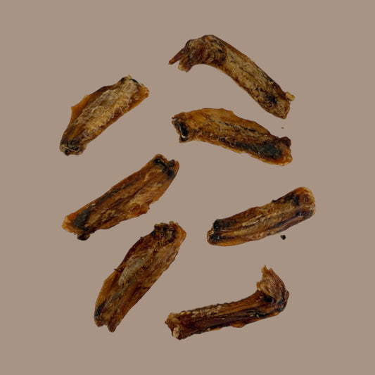 Duck Wings