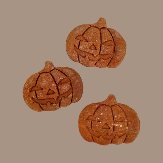 Butternut Squash Pumpkins | 3 Pack